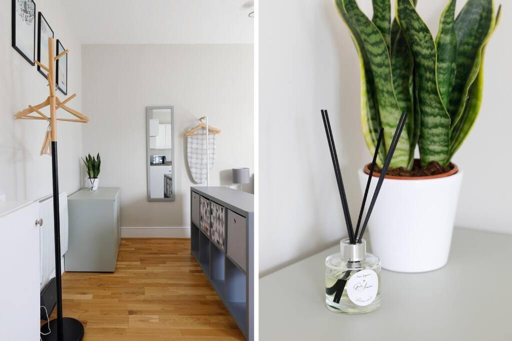 Cosy Studio Flat Moments From The Beach, Kemptown Okręg wyborczy Hove Zewnętrze zdjęcie